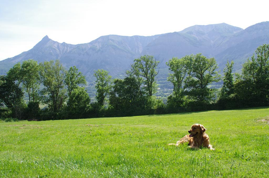 Vvf Les Ecrins Champsaur Hotel แซ็งต์-บอนเนต์-อ็อง-ฌ็องป์โซร์ ภายนอก รูปภาพ